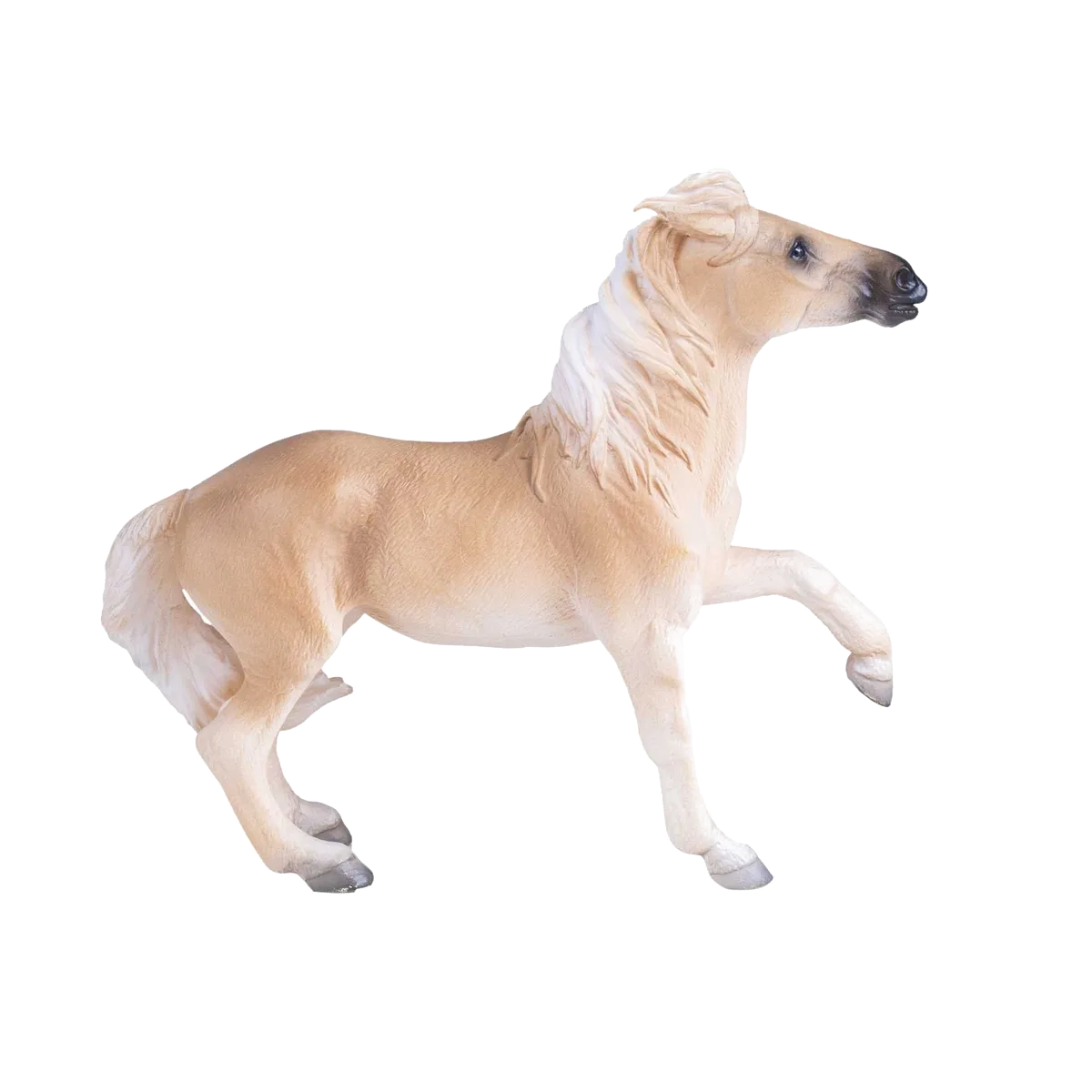 Mojo Brumby hoppe - billede 1